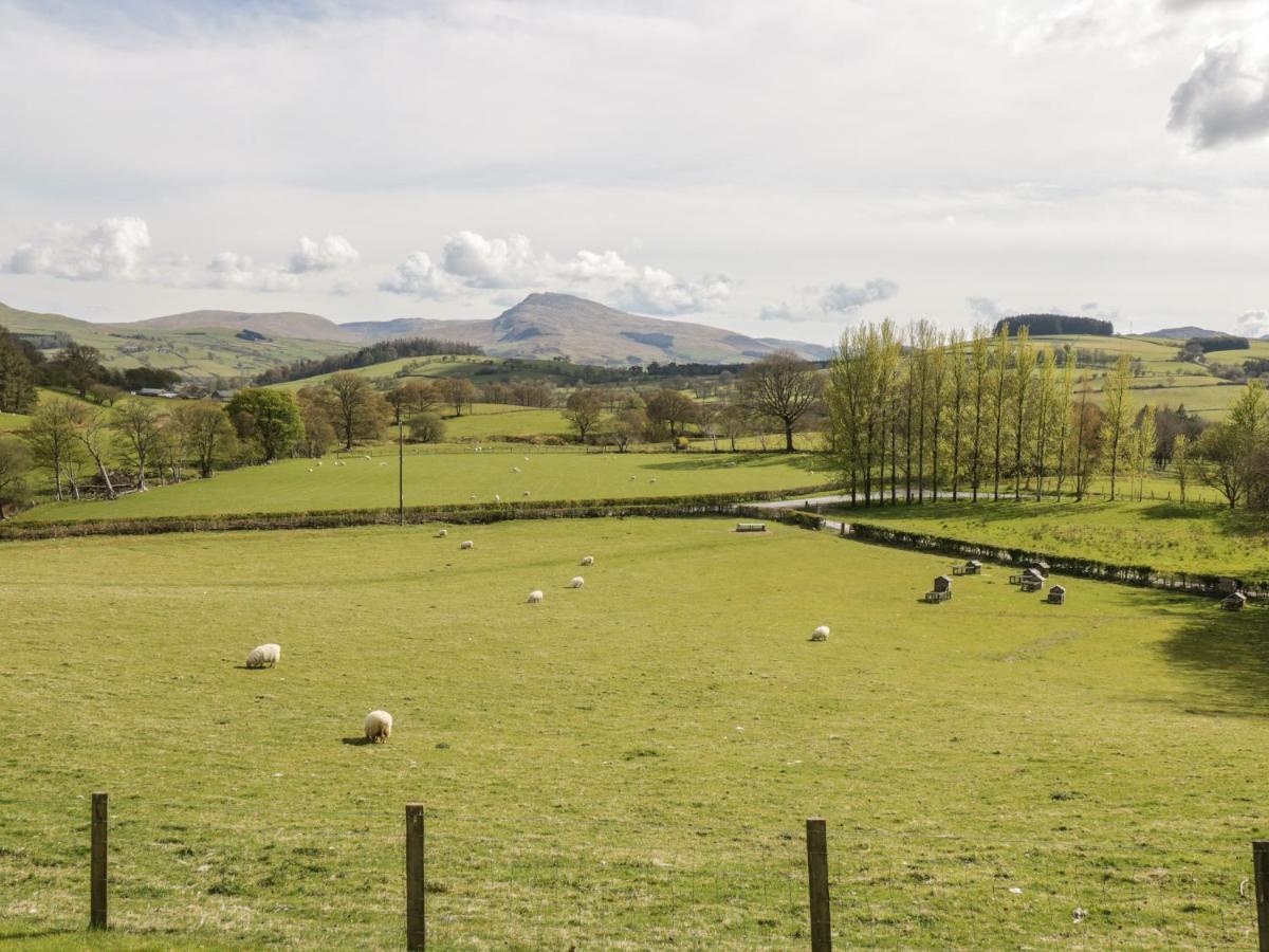 Cyffdy Cottage - Arenig Bala Exterior foto